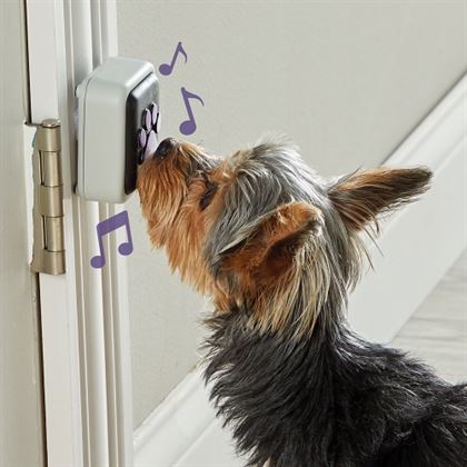 Pet Doorbell