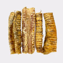 Trachea